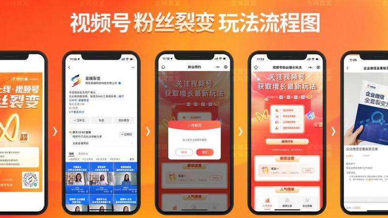 如何应对ins粉丝增长缓慢的问题