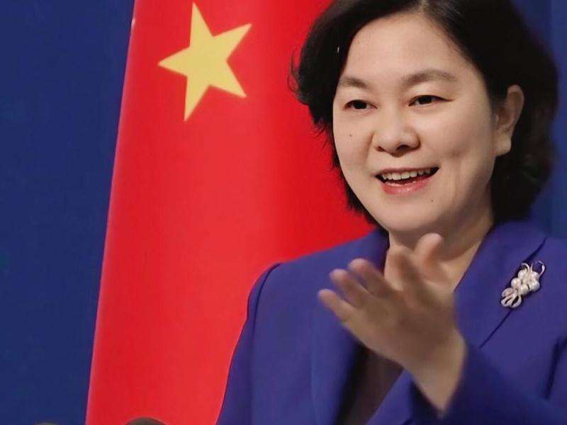 华春莹INS粉丝：华春莹在INS上的粉丝数量