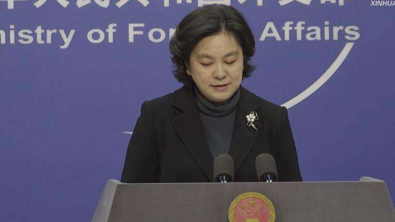 华春莹在Ins上的点赞记录